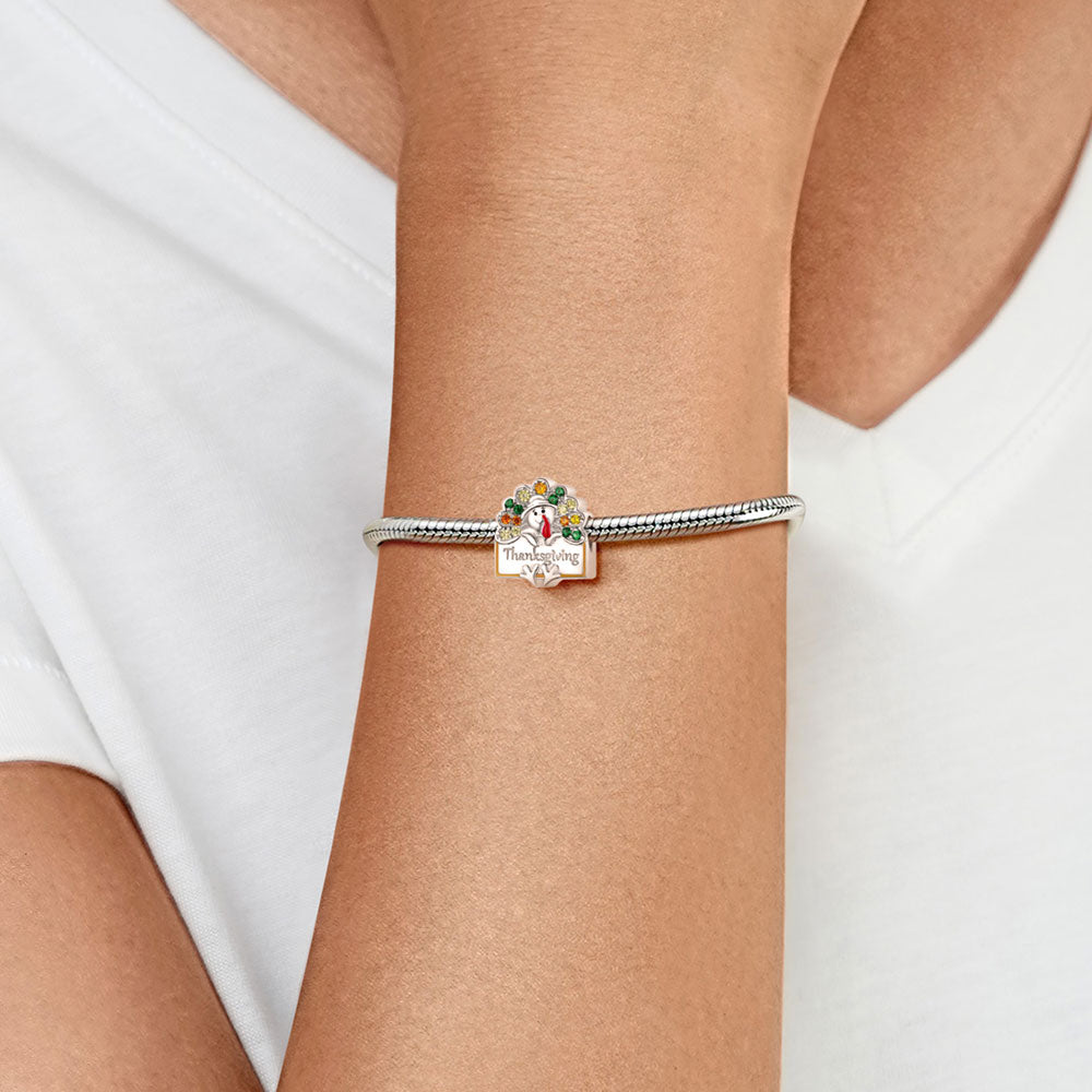 Gnoce Turkey Thanksgiving Gift Charm_4