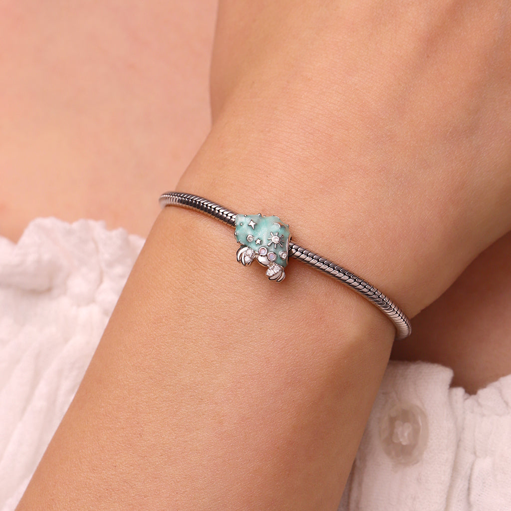 Gnoce Summer Hermit Crab Charm_4