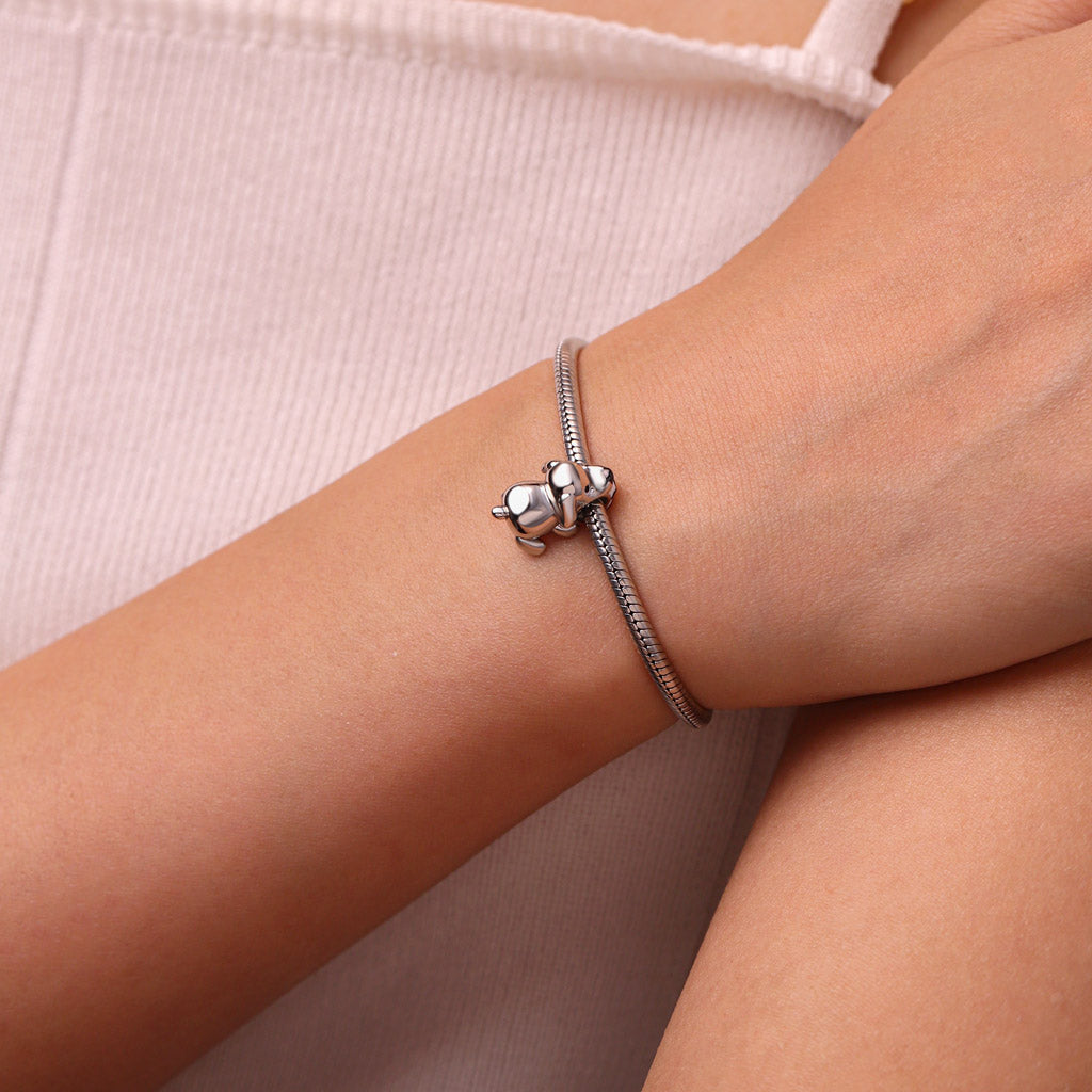 Gnoce Creative Shark Dog Charm_5