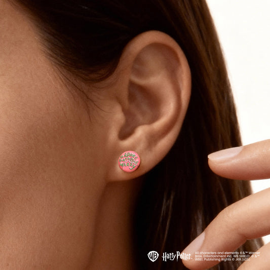 Gnoce Harry Potter Hagrid Birthday Cake Stud Earrings_2