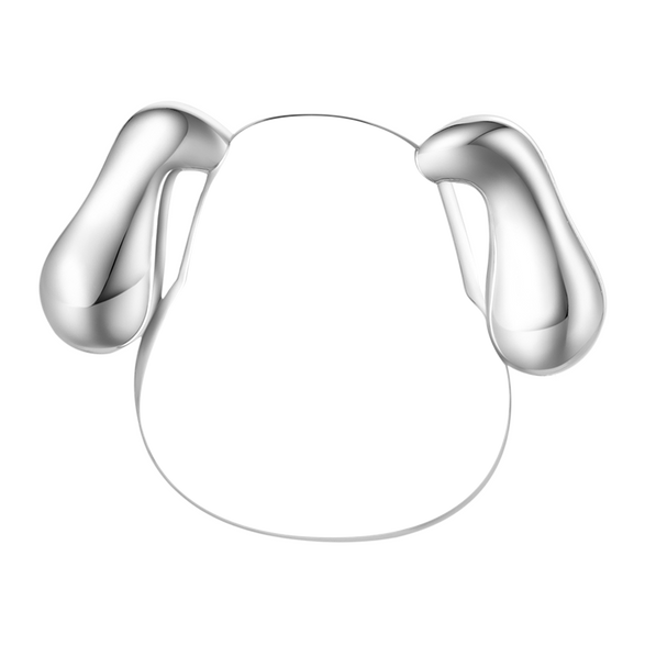 Gnoce Charm Personnalisé de Chien