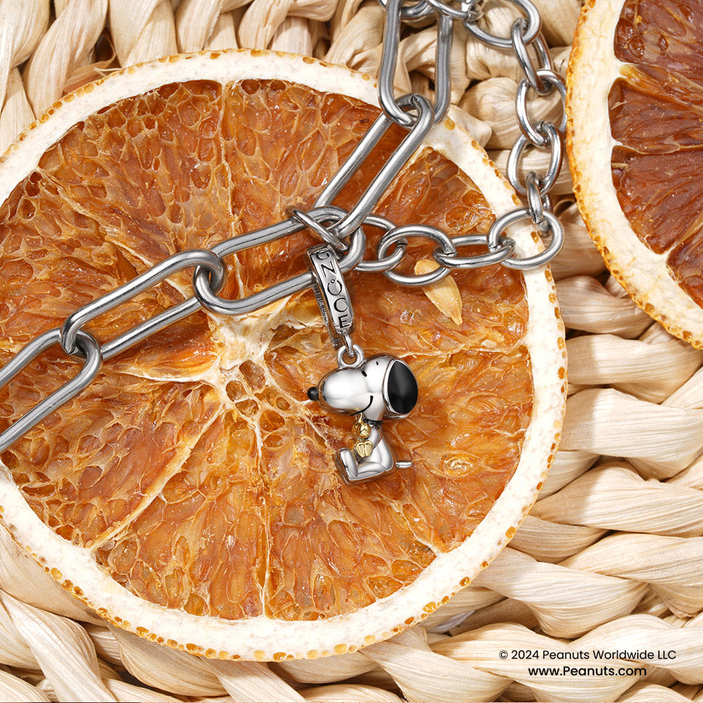 Gnoce Peanuts Snoopy & Woodstock Hugging Pendant Dangle Charm_4