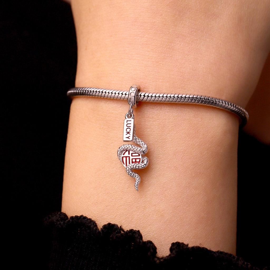 Gnoce Lucky Snake Pendant Dangle Charm_7