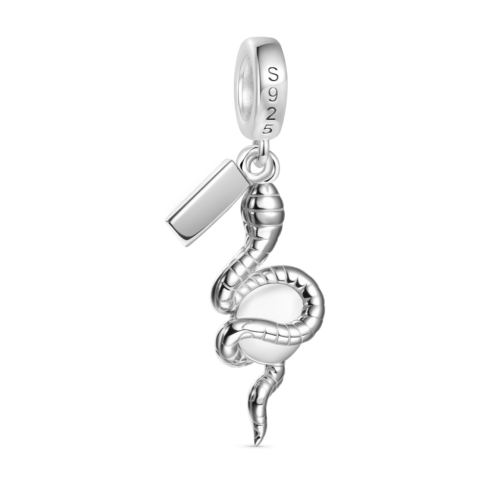 Gnoce Lucky Snake Pendant Dangle Charm_2