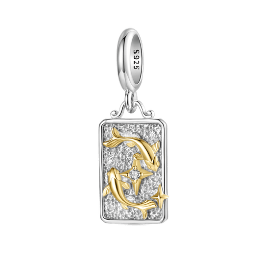 Gnoce Constellation Pisces Pendant Dangle Charm_1
