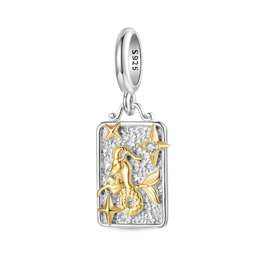Gnoce Constellation Capricorn Pendant Dangle Charm_1