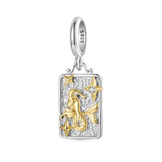 Gnoce Constellation Capricorn Pendant Dangle Charm_1