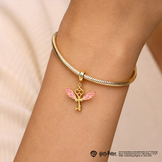 Gnoce Harry Potter Winged Key Pendant Dangle Charm_3