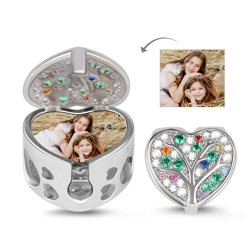 Gnoce "We are Family, My Heart will Be With You" Family Tree Photo Charm Beads In Sterling Silver With CZ Stones_2