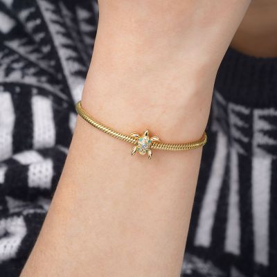 Charm Tortue Double Face