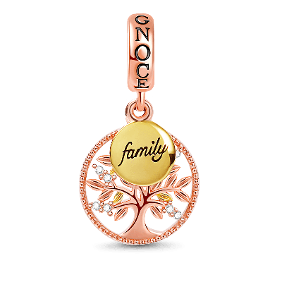 Charms enfant parent ami: tous nos charms famille & amis